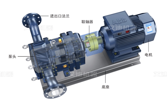 尊龙凯时机器凸轮转子泵结构图.png 尊龙凯时机器凸轮转子泵结构图.png