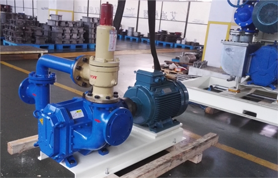 带安全阀装置的弹性体凸轮转子泵.jpg 带安全阀装置的弹性体凸轮转子泵.jpg