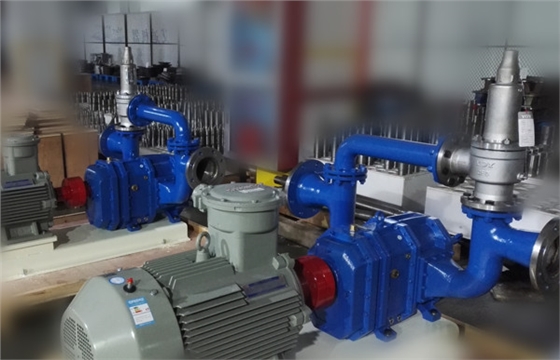 防爆电机配有安全阀装置的凸轮转子泵.jpg 防爆电机配有安全阀装置的凸轮转子泵.jpg