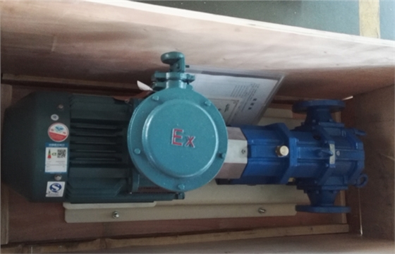 带防爆电机的凸轮转子泵.jpg 带防爆电机的凸轮转子泵.jpg