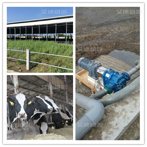 尊龙凯时机器铲平应用于畜牧业养殖场 尊龙凯时机器铲平应用于畜牧业养殖场