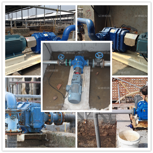 尊龙凯时机器粪污干清泵应用 - 副本.png 尊龙凯时机器粪污干清泵应用 - 副本.png