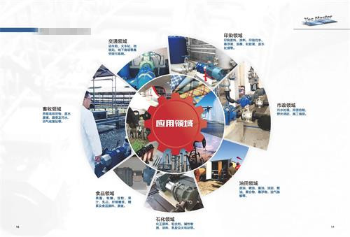 转子泵研究基础、现状级趋势 转子泵研究基础、现状级趋势