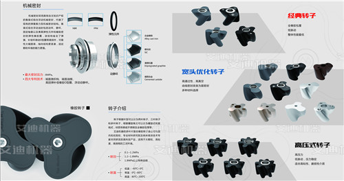 机械密封及转子形态概述.jpg 机械密封及转子形态概述.jpg