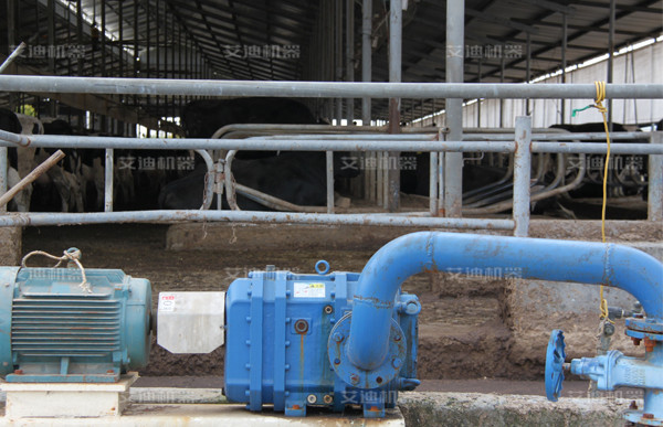 粪便泵牛场使用现场见证.jpg 粪便泵牛场使用现场见证.jpg