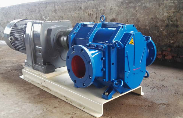 带减速电机凸轮转子泵.jpg 带减速电机凸轮转子泵.jpg