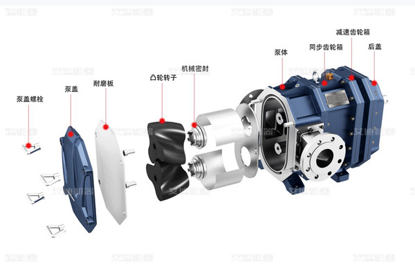 凸轮转子泵局部分解图片.jpg 凸轮转子泵局部分解图片.jpg