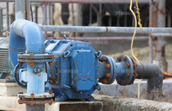 萧山牛场粪便泵使用情况.jpg 萧山牛场粪便泵使用情况.jpg