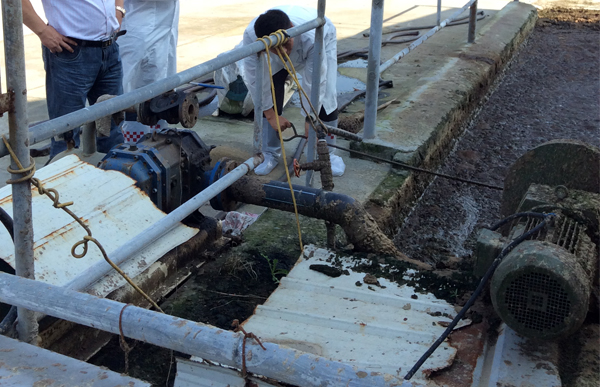 牛粪泵使用情况走访调查.jpg 牛粪泵使用情况走访调查.jpg