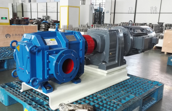 不带减速体的凸轮转子泵污水提升用泵.jpg 不带减速体的凸轮转子泵污水提升用泵.jpg