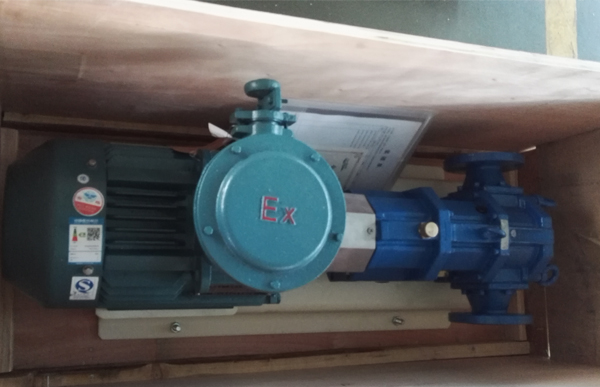 带防爆电机的凸轮转子泵.jpg 带防爆电机的凸轮转子泵.jpg