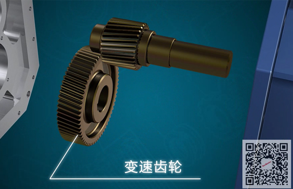 凸轮转子泵变速齿轮.jpg 凸轮转子泵变速齿轮.jpg